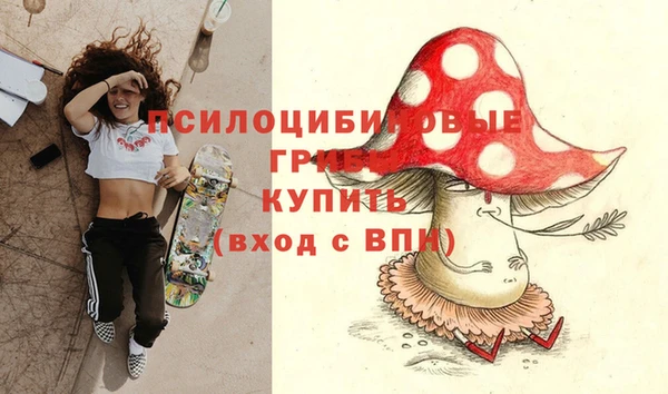 первитин Нязепетровск