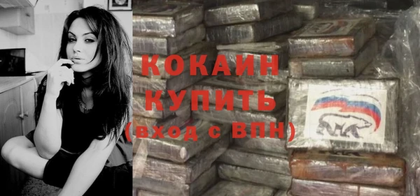винт Няндома